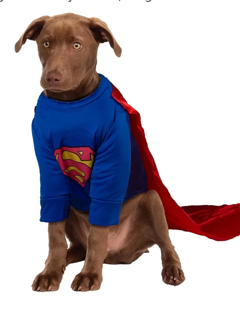 NWT Rubie's Superman DC Comics SuperheroesPet Cape Costume in Blue and Red